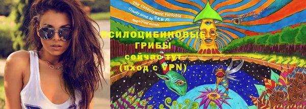 2c-b Ветлуга