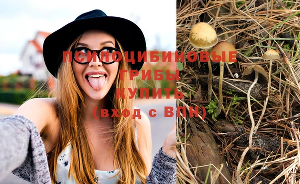 MESCALINE Нефтекумск