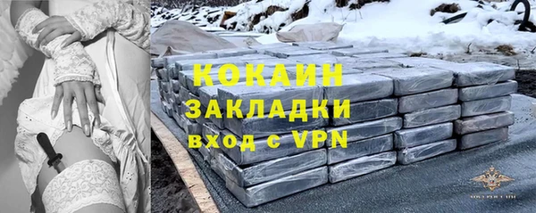 винт Няндома