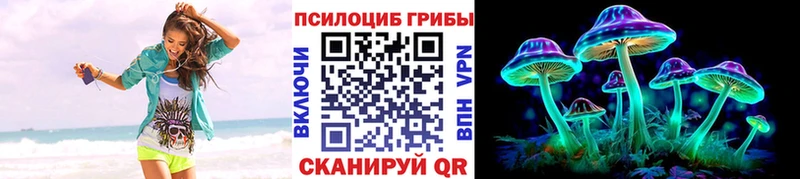 Псилоцибиновые грибы MAGIC MUSHROOMS  наркотики  Палласовка 